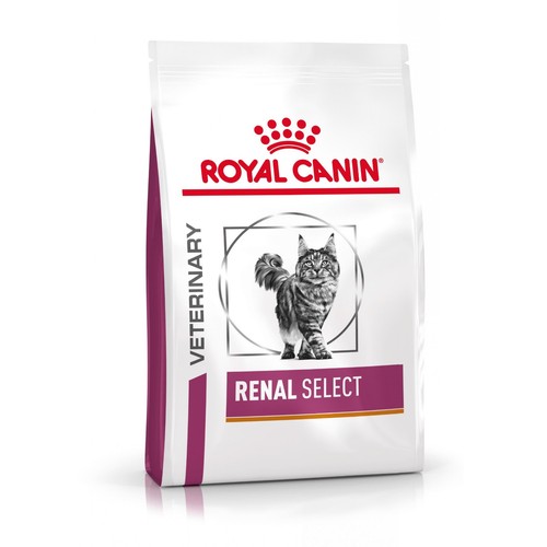 Royal canin dieta gatto - dieta,