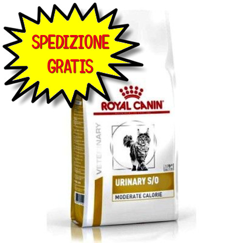 Royal canin dieta - canin, gatto