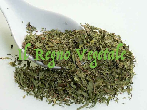 Stevia rebaudiana foglie t - rebaudiana,